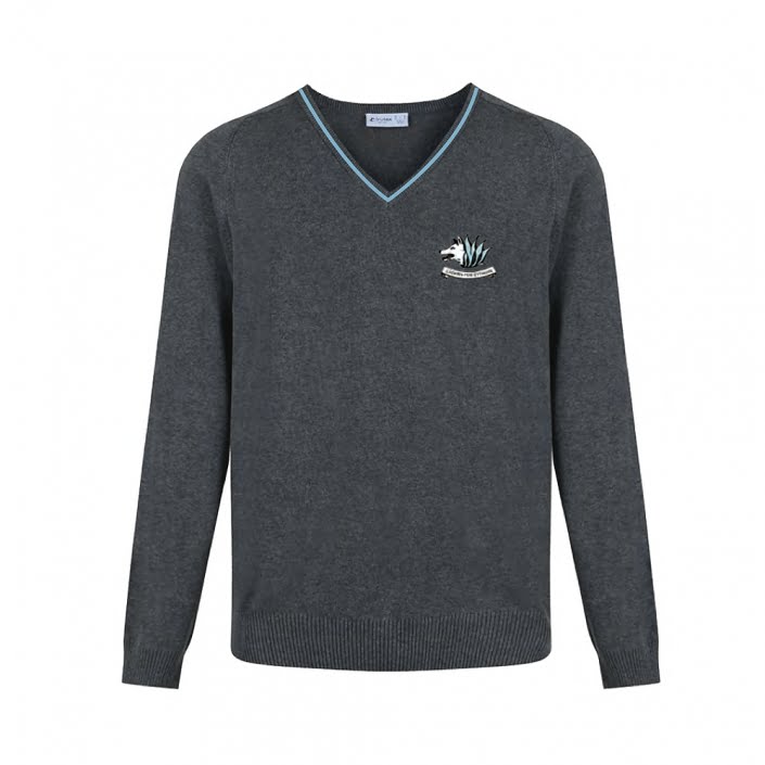 Cyfarthfa Girls Jumper - TSS Sport of Caerphilly. Suppliers of school ...